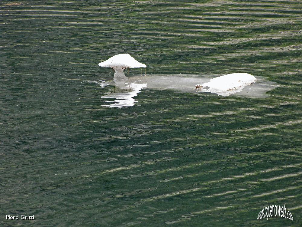 57 'Iceberg' da disgelo nel laghetto.jpg